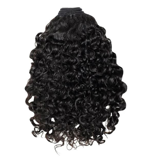 Bundle Deals Burmese Curl